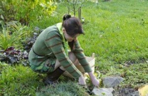 Як зробити рокарій на дачі своїми руками: відмінності від альпійської гірки, вибір каменів, рослин, етапи робіт, покрокова відео інструкція