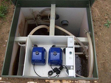 Живі бактерії для септиків і вигрібних ям: види і характеристики