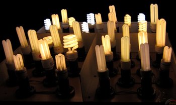 Як вибрати енергозберігаючі лампи для дому: види і характеристики