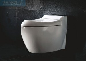 Навісний унітаз з інсталяцією: установка, вибір і ремонт (фото, відео)