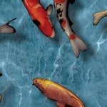 Настінна плитка для ванної: колекція фото