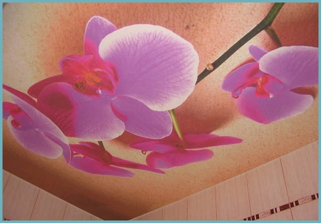 Усе про натяжні стелі у ванній, плюси і мінуси, а також поради Усе про натяжні стелі у ванній, плюси і мінуси, а також поради