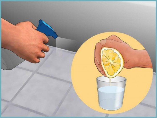 Як звільнити ванну від неприємного комахи – чешуйницы