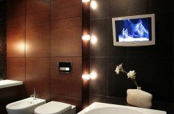 Телевізор для ванної кімнати: основні правила вибору і установки Телевізор для ванної кімнати: основні правила вибору і установки