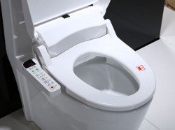 Біде у вигляді приставок, кришок і насадок для унітазу. Особливості моделей, монтаж, відгуки