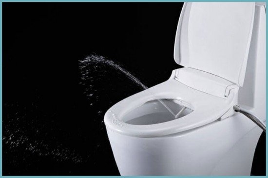 Біде у вигляді приставок, кришок і насадок для унітазу. Особливості моделей, монтаж, відгуки