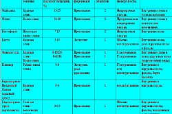 Як правильно класти плитку у ванній: укладання плитки самостійно (відео)