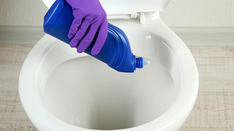 Як прочистити засмічення в унітазі і що робити для усунення засмічення