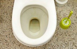 Як очистити унітаз від вапняного нальоту і сечового каменю Як очистити унітаз від вапняного нальоту і сечового каменю