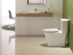 Розбираємося який унітаз краще змиває і обходиться без бризок Розбираємося який унітаз краще змиває і обходиться без бризок