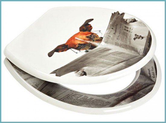 Кришки для унітазу: з мікроліфтом, дитячим сидінням, електронним управлінням. Як вибрати