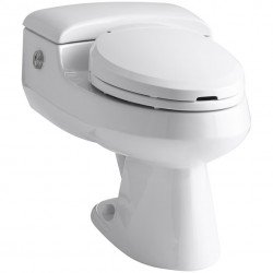 Вибираємо унітаз з функцією біде в єдиному форматі