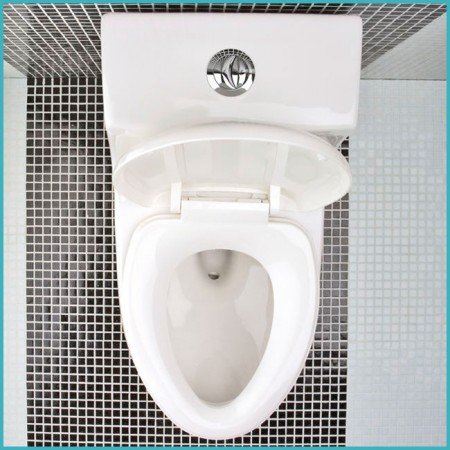 Як очистити унітаз від вапняного нальоту і сечового каменю