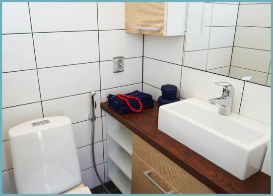 Вибираємо змішувач для раковини з гігієнічної лійкою (душем)