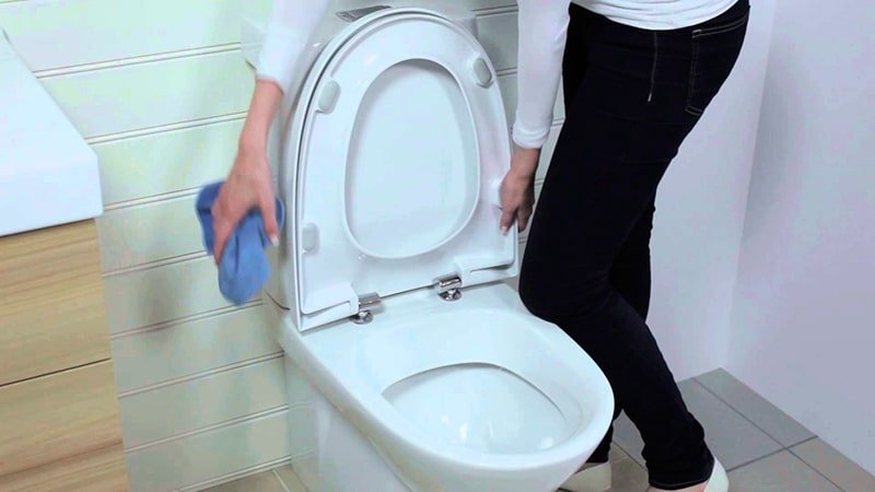 Кришки для унітазів з мікроліфтом: вибір і установка