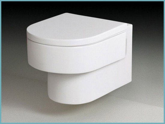 Плюси і мінуси унітазів Roca (Року), поради та відгуки власників