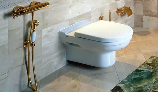 Вибираємо гігієнічний душ із змішувачем: види, плюси і мінуси Вибираємо гігієнічний душ із змішувачем: види, плюси і мінуси