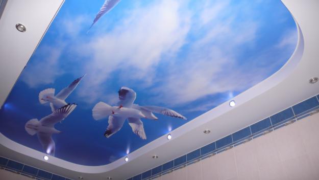 Усе про натяжні стелі у ванній, плюси і мінуси, а також поради Усе про натяжні стелі у ванній, плюси і мінуси, а також поради