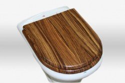 Кришки для унітазу: з мікроліфтом, дитячим сидінням, електронним управлінням. Як вибрати