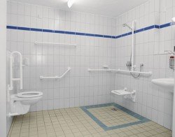 Пристосування для інвалідів і літніх людей: поручні для ванної та туалету, змішувач, підйомні механізми, стільчик, ванна з дверцятами та інші аксесуари, фото