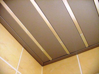 Важливі моменти, які необхідно знати про рейкова стеля Важливі моменти, які необхідно знати про рейкова стеля