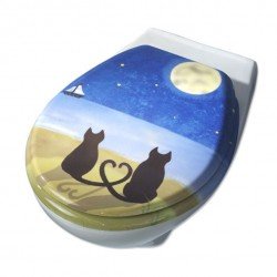 Кришки для унітазу: з мікроліфтом, дитячим сидінням, електронним управлінням. Як вибрати