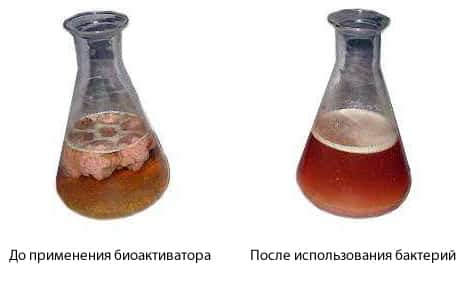 Що робити, якщо замулилася вигрібна яма?