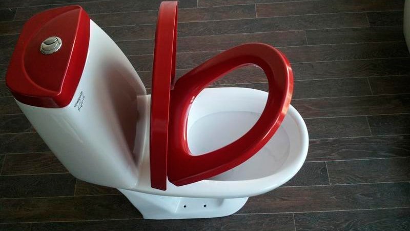 Кришки для унітазів з мікроліфтом: вибір і установка