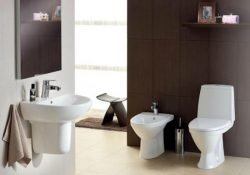 Унітази серії Ifo Frisk. Відгуки власників і думки фахівців