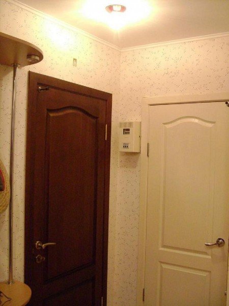 Які двері краще вибрати і поставити для ванної та туалету — матеріал і дизайн (фото, відео)