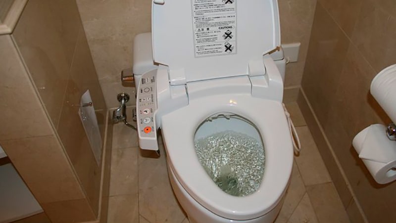 Кришка біде для унітазу: електронна або механічна