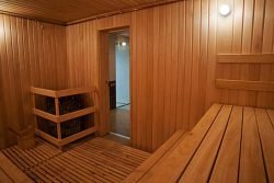 Скляні двері для сауни і лазні: особливості моделей і технологія установки своїми руками