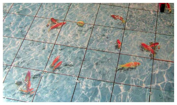 Панно з плитки в ванну, як вибрати і існуючі види