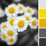 Вдале поєднання кольорів в інтерєрі: таблиця як інструмент правильного підбору Вдале поєднання кольорів в інтерєрі: таблиця як інструмент правильного підбору