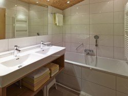 Привіт з США: недоліки та переваги подвійний раковини