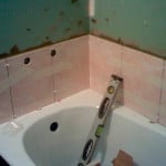 Укладання плитки на гіпсокартон у ванній кімнаті