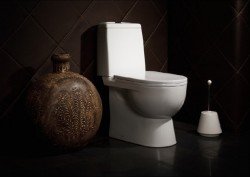 Унітази компанії Sanita (Саніта), поради та відгуки власників Унітази компанії Sanita (Саніта), поради та відгуки власників