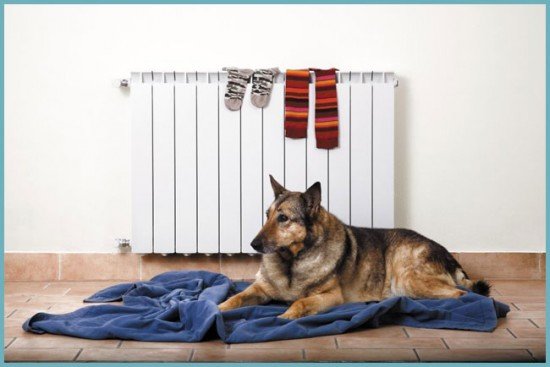 Біметалічні радіатори: вибір виробів, популярні виробники, особливості радіаторів, відгуки