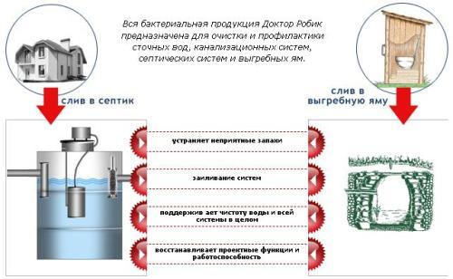 Биоактиваторы для вигрібних ям — принцип дії, плюси і мінуси, як вибрати і використовувати