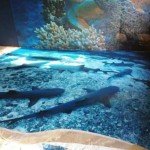 Як не помилитися, вибираючи наливна підлога у ванній Як не помилитися, вибираючи наливна підлога у ванній