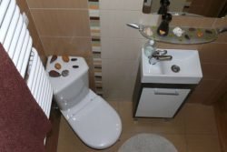 Кутовий унітаз – економія місця в невеликому туалеті