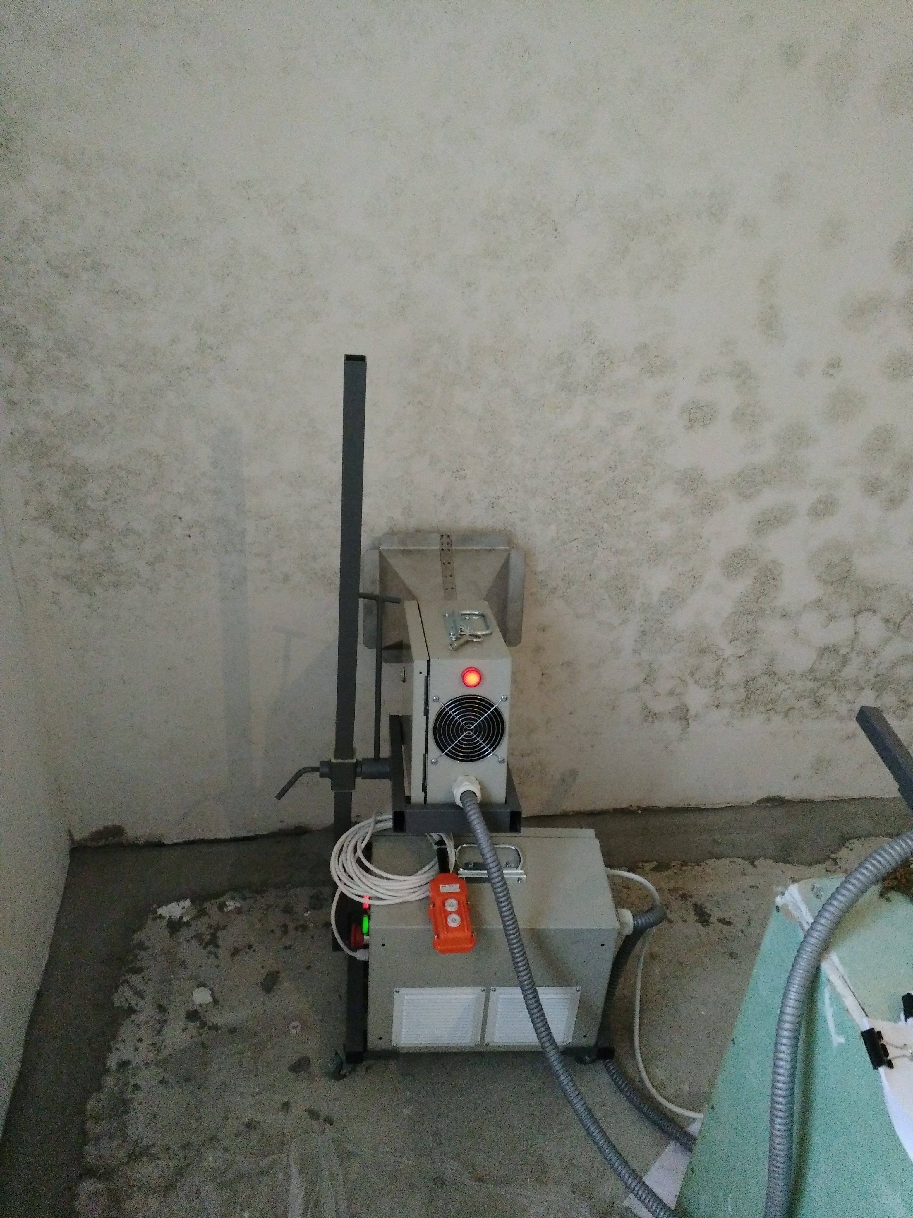 Цвіль у ванній на швах плитки, способи її усунення