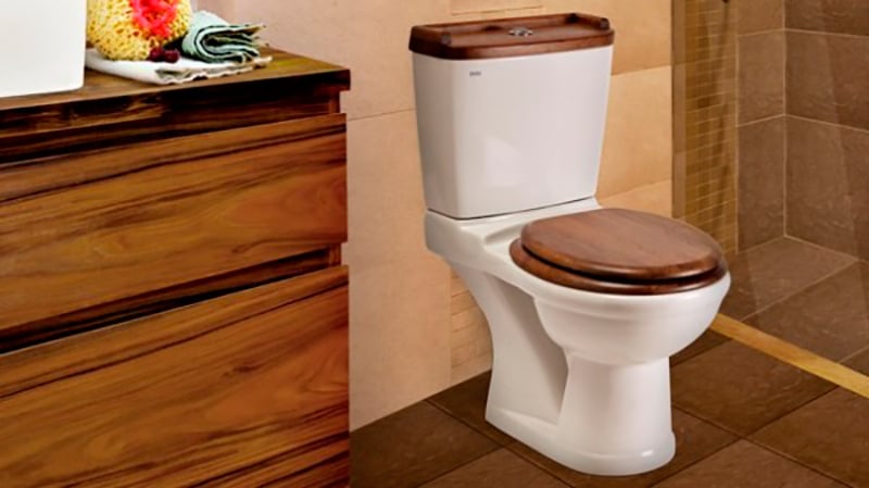 Деревяне сидіння для унітазу: особливості монтажу