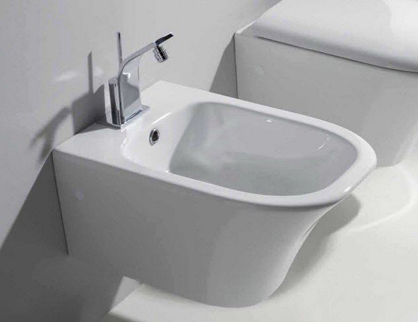 Вбудоване біде: переваги, пристрій і самостійний монтаж