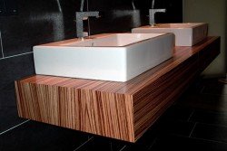 Привіт з США: недоліки та переваги подвійний раковини