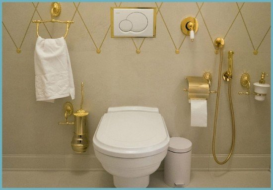 Вибираємо і встановлюємо змішувач з гігієнічним душем (лійкою) для унітазу