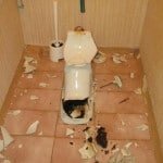 Заміна унітазу в квартирі своїми руками: відео інструкція