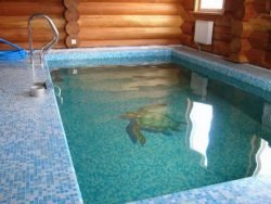 Лазня з басейном: важливі особливості проектування та будівництва Лазня з басейном: важливі особливості проектування та будівництва