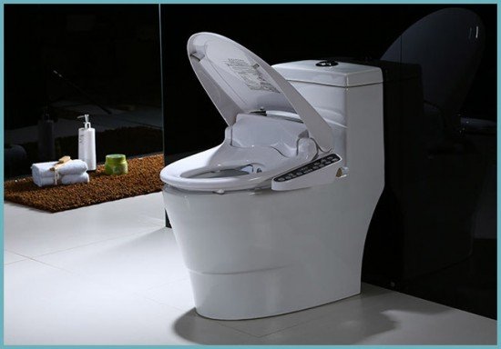 Вибираємо і встановлюємо змішувач з гігієнічним душем (лійкою) для унітазу