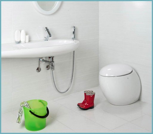 Вибираємо і встановлюємо змішувач з гігієнічним душем (лійкою) для унітазу